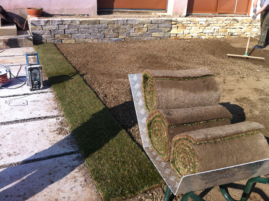 Rasen Gartengestaltung Hertl